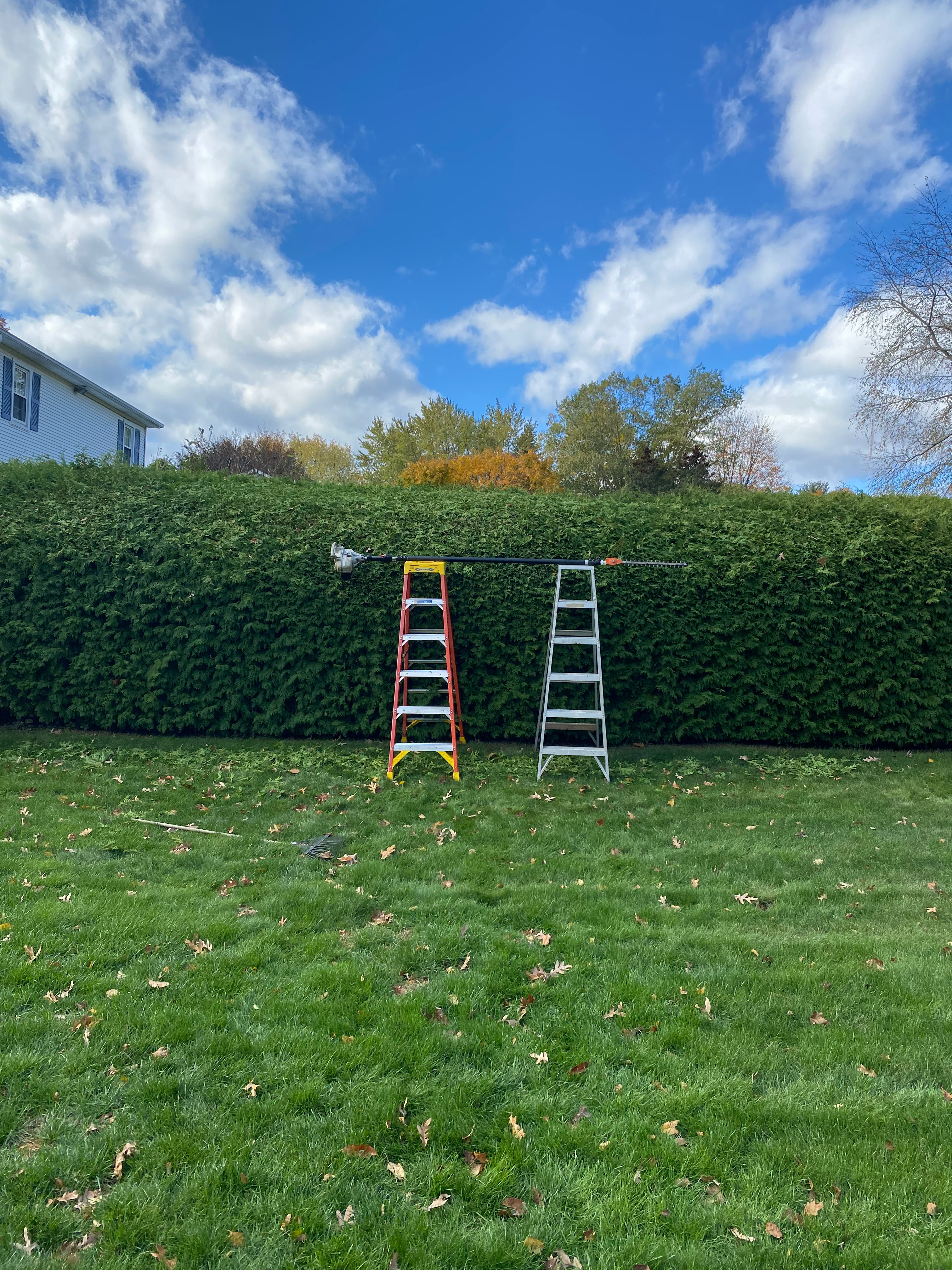 Hedge — pathway