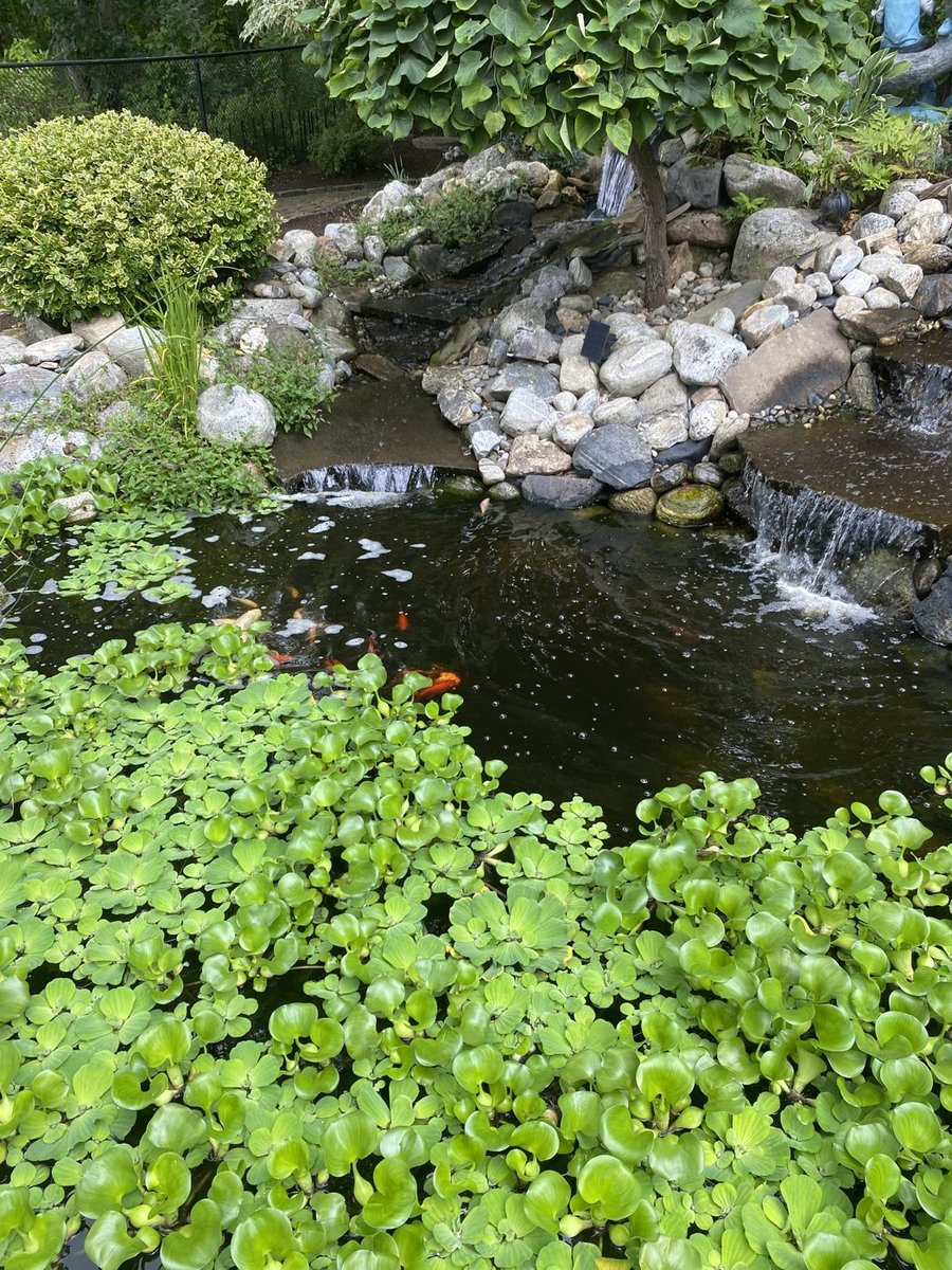 Custom water feature with natural stone landscaping in Central Massachusetts