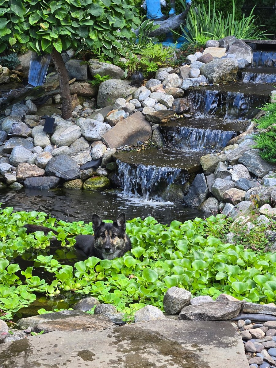 Custom water feature with natural stone landscaping in Central Massachusetts